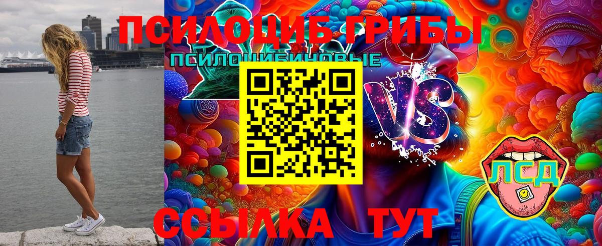Галлюциногенные грибы GOLDEN TEACHER Электросталь