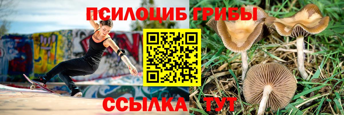 Электросталь  купить  цена  Псилоцибиновые грибы GOLDEN TEACHER  Вход с VPN  Галлюциногенные грибы прущие грибы 